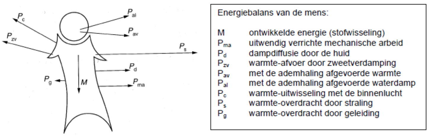 energiebalans van de mens